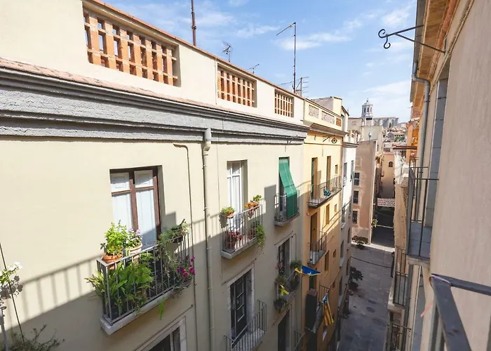 Bravissimo Mercaders 6 Girona