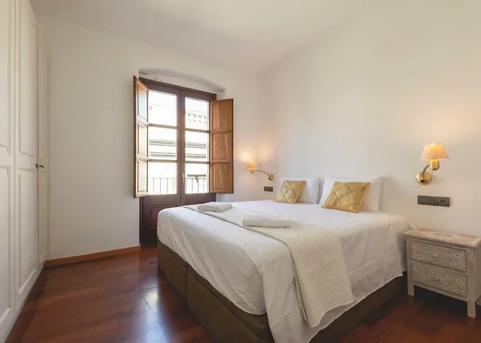 Bravissimo Mercaders 6 * Gérone